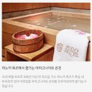 비바체(7대) | 제주 포도호텔, 히노끼욕조에 온천수가 나오는 제주도 숙소 추천 서귀포시 핀크스 포도호텔 후기