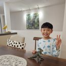 (주)와이제이환경