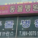24일산우리동물병원 이미지