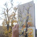 은행나무시장 이미지