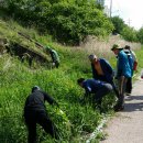 와부조안행정복지센터 이미지