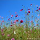 서정빌딩 이미지