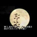 코레아츠