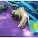 병천농장 이미지