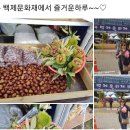 백제문화제 행사장 이미지