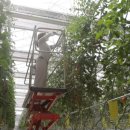 꿈꾸는 농장 이미지