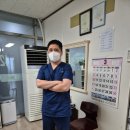 내손안마원 이미지