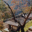 덕경