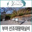 충화 선조대왕 태실비 | 부여 가볼만한 곳, 부여 선조대왕태실비와 오덕사.