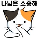 하양동물병원 네이버블로그