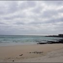 포리롱월정 이미지