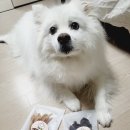 호두네점빵 이미지