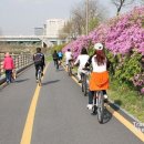 예찬카센타 이미지