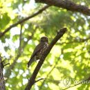 주왕산공원 관리사무소 이미지