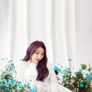 채연헤어 네이버블로그
