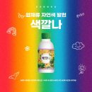 제인앤와이 이미지