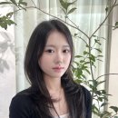 랩 아이디 | 컷, 에어랩으로 5분 손질 가능할까? 솔직 후기💖 세종미용실 소담동미용실 | 아이디헤어세종소담 미소실장