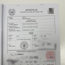 더선 행정사사무소 이미지