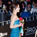 그린카펫 스타투데이
