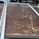 미소애견샵 이미지