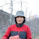 이연숙농장 네이버블로그