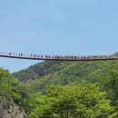 이뮨트럭 이미지
