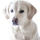 KS 행정사 사무소 이미지