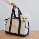 백년동물병원 | 무인양품 무지 위크 폴리에스터 반려동물 강아지 이동 가방 캐리어 펫 백 후기 파는 곳