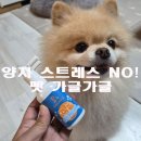 펫츠랑 | 양치 스트레스 없이 간편하게! 펫츠랑 펫 가글가글 사용 후기