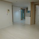 홍스디자인