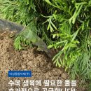 미성종합관리