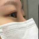 노멀라인속눈썹&브로우구미 이미지