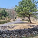 우리들 | 제주도골프장 서귀포 팬텀cc (우리들cc) 라운딩후기