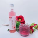 제주본초협동조합 이미지