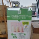 에버그릭 역삼점