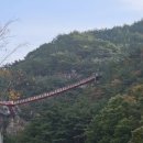 거창 항노화 힐링랜드 이미지