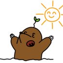 드림디톡스