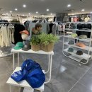 세종청사유통 네이버블로그