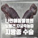 나만 애 동물병원 이미지
