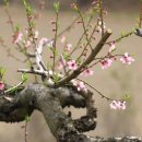 성문농장 이미지