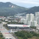 양양송이마트