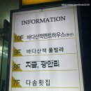 지금광안리 | [내돈내산] 부산 혼자 여행 추천 숙소 오션뷰 에어비엔비 ‘지금 광안리’ 후기