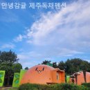 안녕감귤 제주독채펜션 이미지