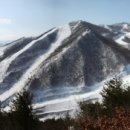 다채 글로벌이코노믹