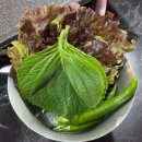 초지2로 | [안산 초지동 맛집] ‘흑향 초지점’ 흑돼지 오겹살 맛집 솔직 후기