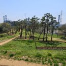 대진만호 유적 이미지