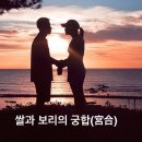 쌀과보리 Daum카페