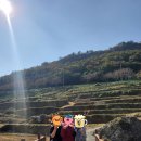 호야네 | 통영남해거제 2박3일 효도여행 숙소추천, 중앙시장, 다랭이마을, 은성쌈밥, 원예예술촌 (2)