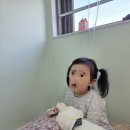 (유)알랑가 | 돌사진 후기 위드유스튜디오 상인점 진짜솔직한 후기