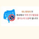 애니펫 | 강아지입냄새제거 고민이라면? 애니펫워터 후기